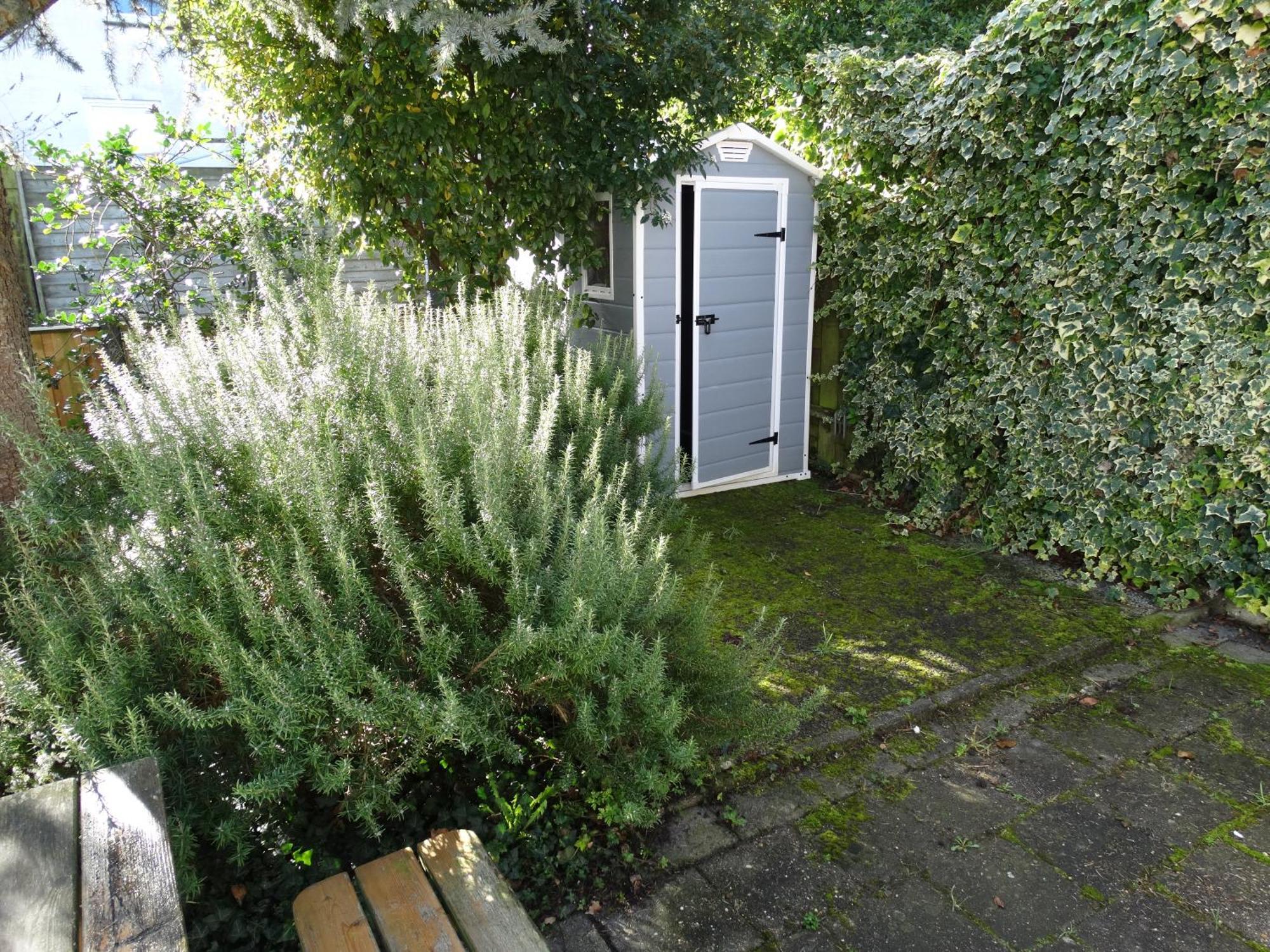Vakantiehuis Buitengewoon Wissenkerke Exterior foto